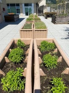 Lynn valley care centre, outdoor garden beds with plants