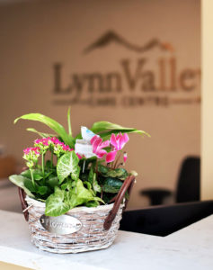 beautiful flowers on display at Lynn Valley Care Centre
