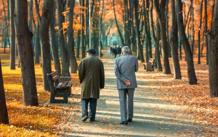 Fall activities for seniors lynn valley