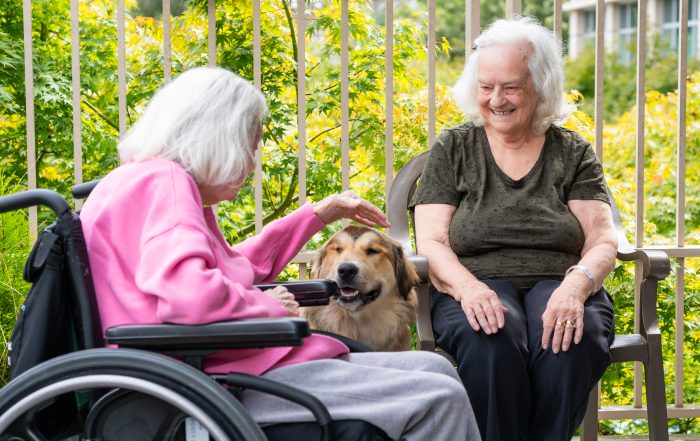 north vancouver senior activities